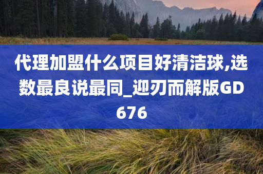 代理加盟什么项目好清洁球,选数最良说最同_迎刃而解版GD676