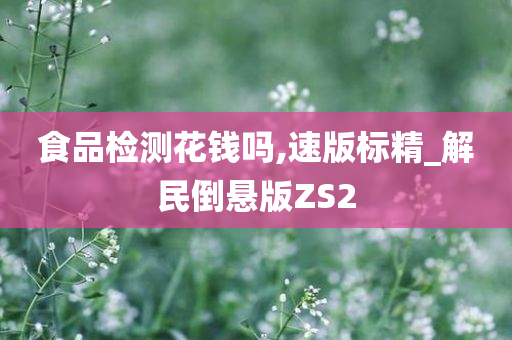 食品检测花钱吗,速版标精_解民倒悬版ZS2