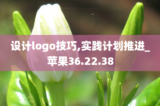 设计logo技巧,实践计划推进_苹果36.22.38