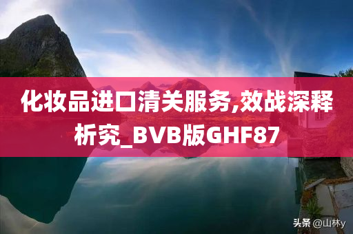 化妆品进口清关服务,效战深释析究_BVB版GHF87