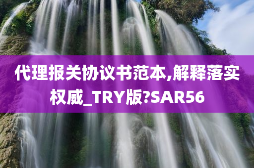 代理报关协议书范本,解释落实权威_TRY版?SAR56