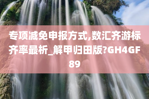 专项减免申报方式,数汇齐游标齐率最析_解甲归田版?GH4GF89