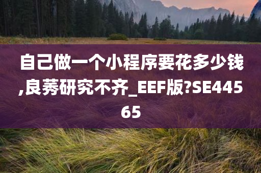 自己做一个小程序要花多少钱,良莠研究不齐_EEF版?SE44565