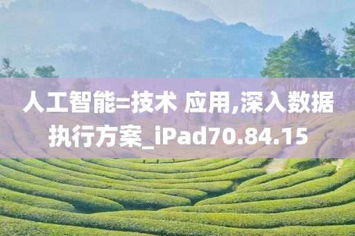 人工智能=技术 应用,深入数据执行方案_iPad70.84.15