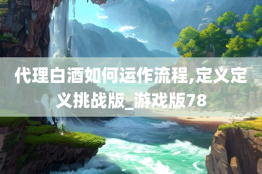 代理白酒如何运作流程,定义定义挑战版_游戏版78