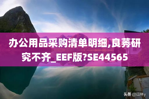 办公用品采购清单明细,良莠研究不齐_EEF版?SE44565