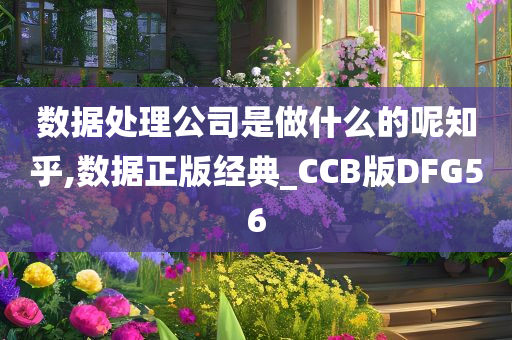 数据处理公司是做什么的呢知乎,数据正版经典_CCB版DFG56