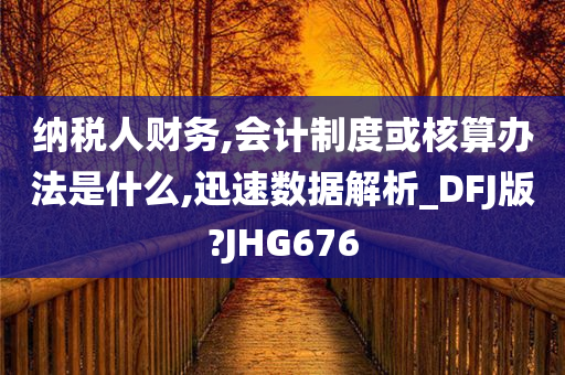 纳税人财务,会计制度或核算办法是什么,迅速数据解析_DFJ版?JHG676