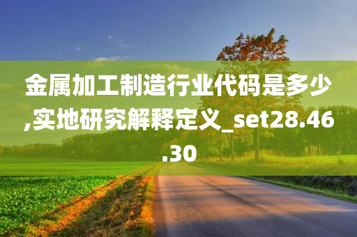 金属加工制造行业代码是多少,实地研究解释定义_set28.46.30