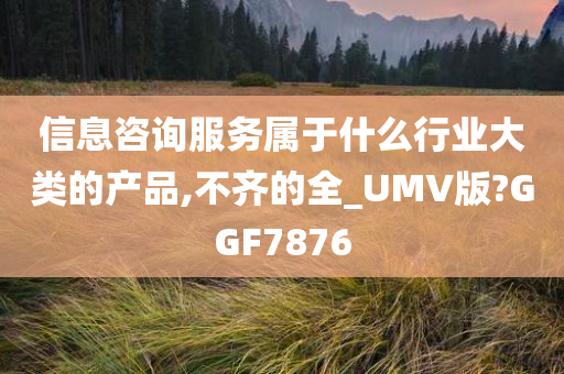 信息咨询服务属于什么行业大类的产品,不齐的全_UMV版?GGF7876