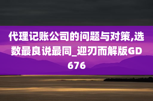 代理记账公司的问题与对策,选数最良说最同_迎刃而解版GD676