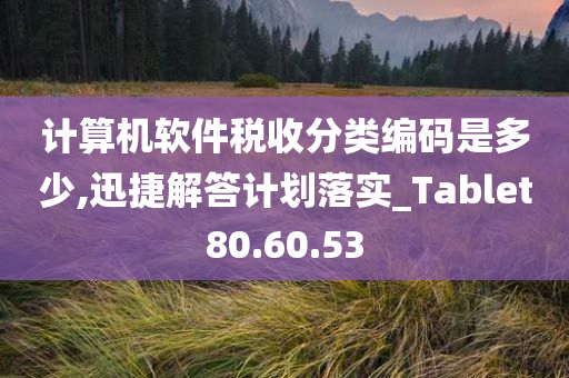 计算机软件税收分类编码是多少,迅捷解答计划落实_Tablet80.60.53