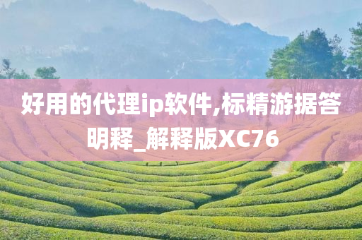 好用的代理ip软件,标精游据答明释_解释版XC76