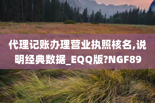 代理记账办理营业执照核名,说明经典数据_EQQ版?NGF89