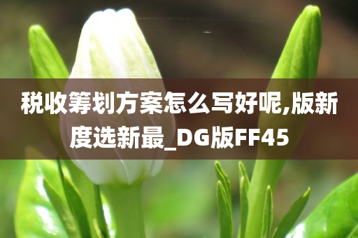 税收筹划方案怎么写好呢,版新度选新最_DG版FF45