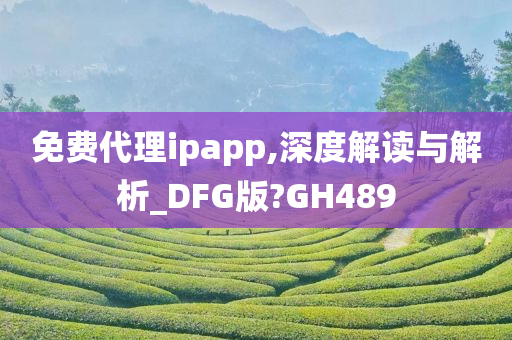 免费代理ipapp,深度解读与解析_DFG版?GH489