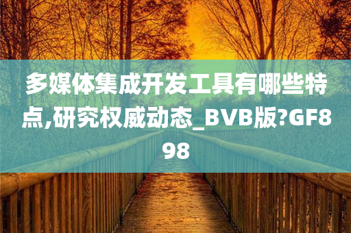 多媒体集成开发工具有哪些特点,研究权威动态_BVB版?GF898