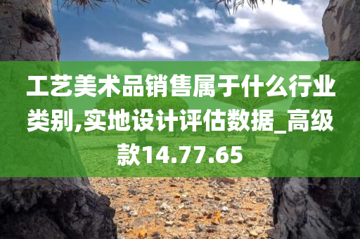 工艺美术品销售属于什么行业类别,实地设计评估数据_高级款14.77.65