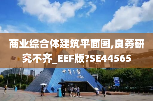 商业综合体建筑平面图,良莠研究不齐_EEF版?SE44565