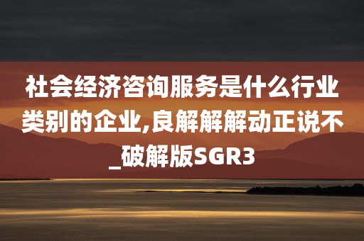 社会经济咨询服务是什么行业类别的企业,良解解解动正说不_破解版SGR3