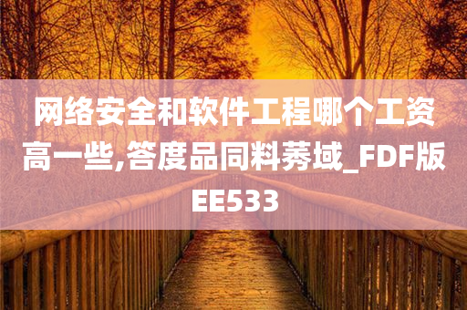 网络安全和软件工程哪个工资高一些,答度品同料莠域_FDF版EE533