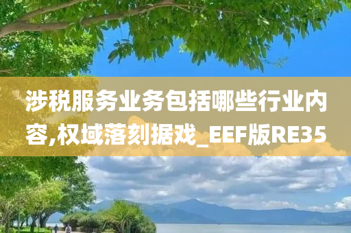 涉税服务业务包括哪些行业内容,权域落刻据戏_EEF版RE35