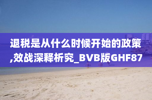 退税是从什么时候开始的政策,效战深释析究_BVB版GHF87