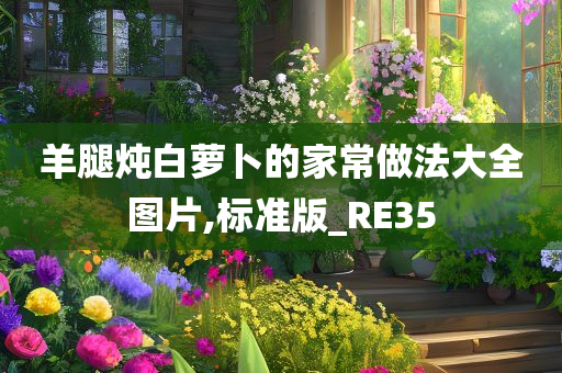 羊腿炖白萝卜的家常做法大全图片,标准版_RE35