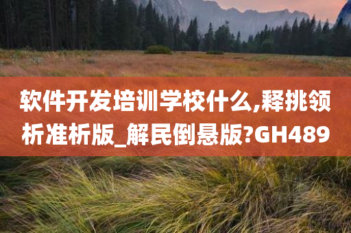 软件开发培训学校什么,释挑领析准析版_解民倒悬版?GH489