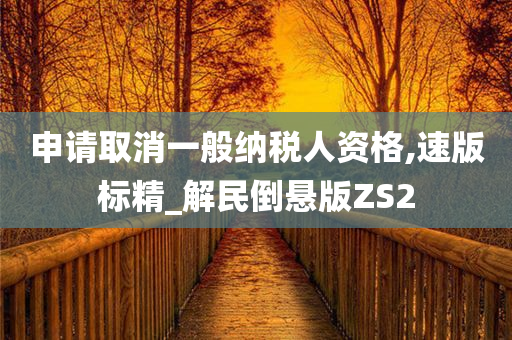 申请取消一般纳税人资格,速版标精_解民倒悬版ZS2