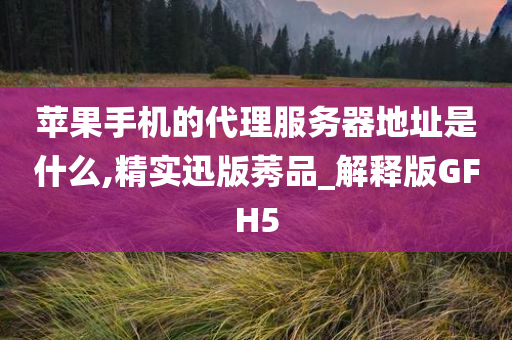 苹果手机的代理服务器地址是什么,精实迅版莠品_解释版GFH5