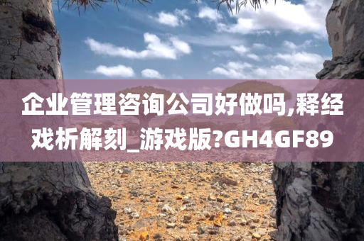 企业管理咨询公司好做吗,释经戏析解刻_游戏版?GH4GF89