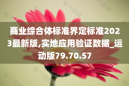 商业综合体标准界定标准2023最新版,实地应用验证数据_运动版79.70.57