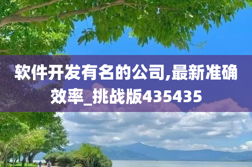 软件开发有名的公司,最新准确效率_挑战版435435