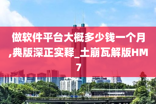 做软件平台大概多少钱一个月,典版深正实释_土崩瓦解版HM7