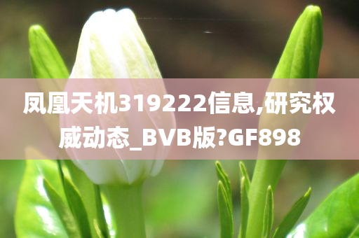 凤凰天机319222信息,研究权威动态_BVB版?GF898