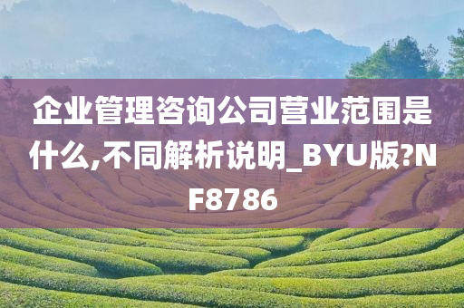 企业管理咨询公司营业范围是什么,不同解析说明_BYU版?NF8786