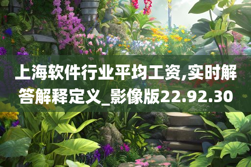 上海软件行业平均工资,实时解答解释定义_影像版22.92.30