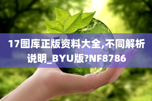 17图库正版资料大全,不同解析说明_BYU版?NF8786