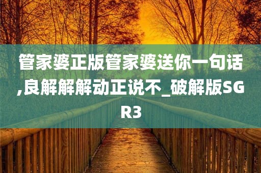 管家婆正版管家婆送你一句话,良解解解动正说不_破解版SGR3