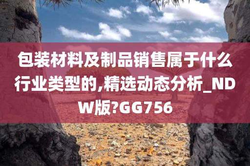 包装材料及制品销售属于什么行业类型的,精选动态分析_NDW版?GG756