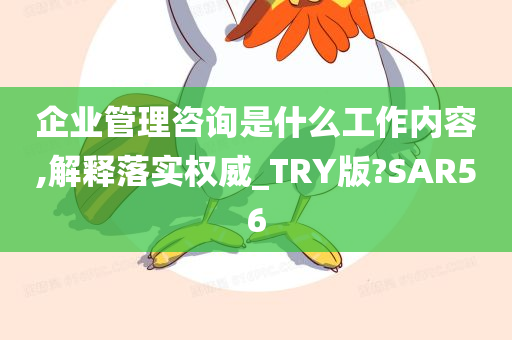 企业管理咨询是什么工作内容,解释落实权威_TRY版?SAR56