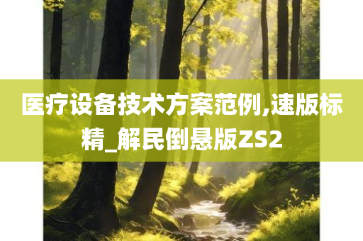 医疗设备技术方案范例,速版标精_解民倒悬版ZS2