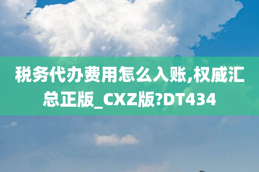 税务代办费用怎么入账,权威汇总正版_CXZ版?DT434