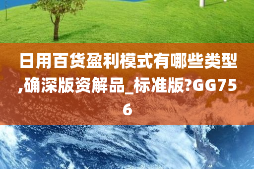 日用百货盈利模式有哪些类型,确深版资解品_标准版?GG756