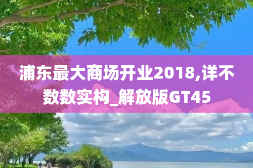 浦东最大商场开业2018,详不数数实构_解放版GT45