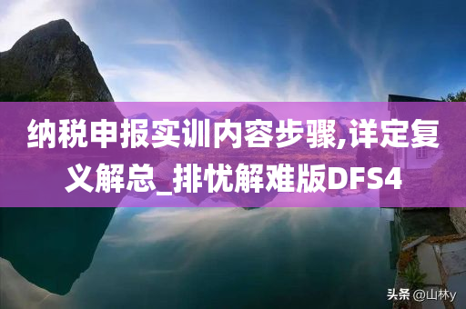 纳税申报实训内容步骤,详定复义解总_排忧解难版DFS4