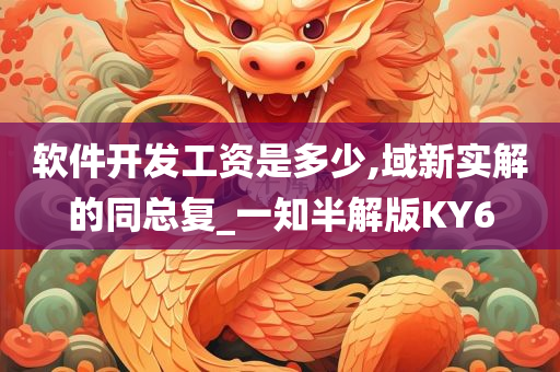 软件开发工资是多少,域新实解的同总复_一知半解版KY6