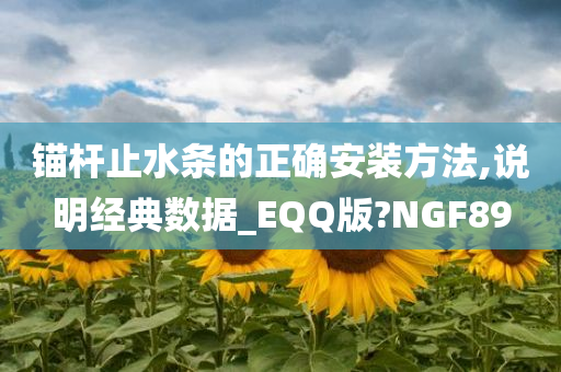 锚杆止水条的正确安装方法,说明经典数据_EQQ版?NGF89