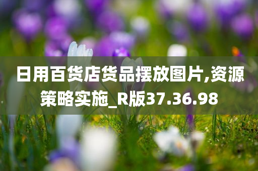 日用百货店货品摆放图片,资源策略实施_R版37.36.98